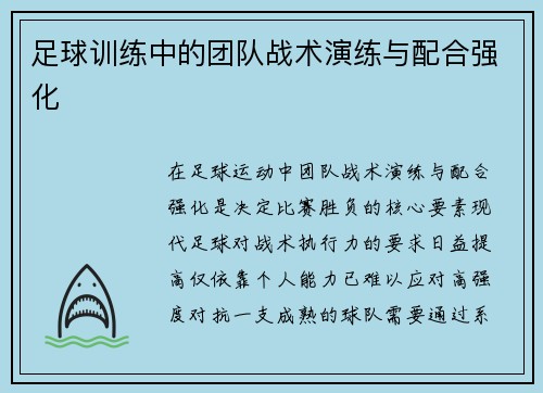 足球训练中的团队战术演练与配合强化